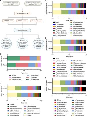 The Intratumor Microbiota Signatures Associate With Subtype, Tumor Stage, and Survival Status of Esophageal Carcinoma